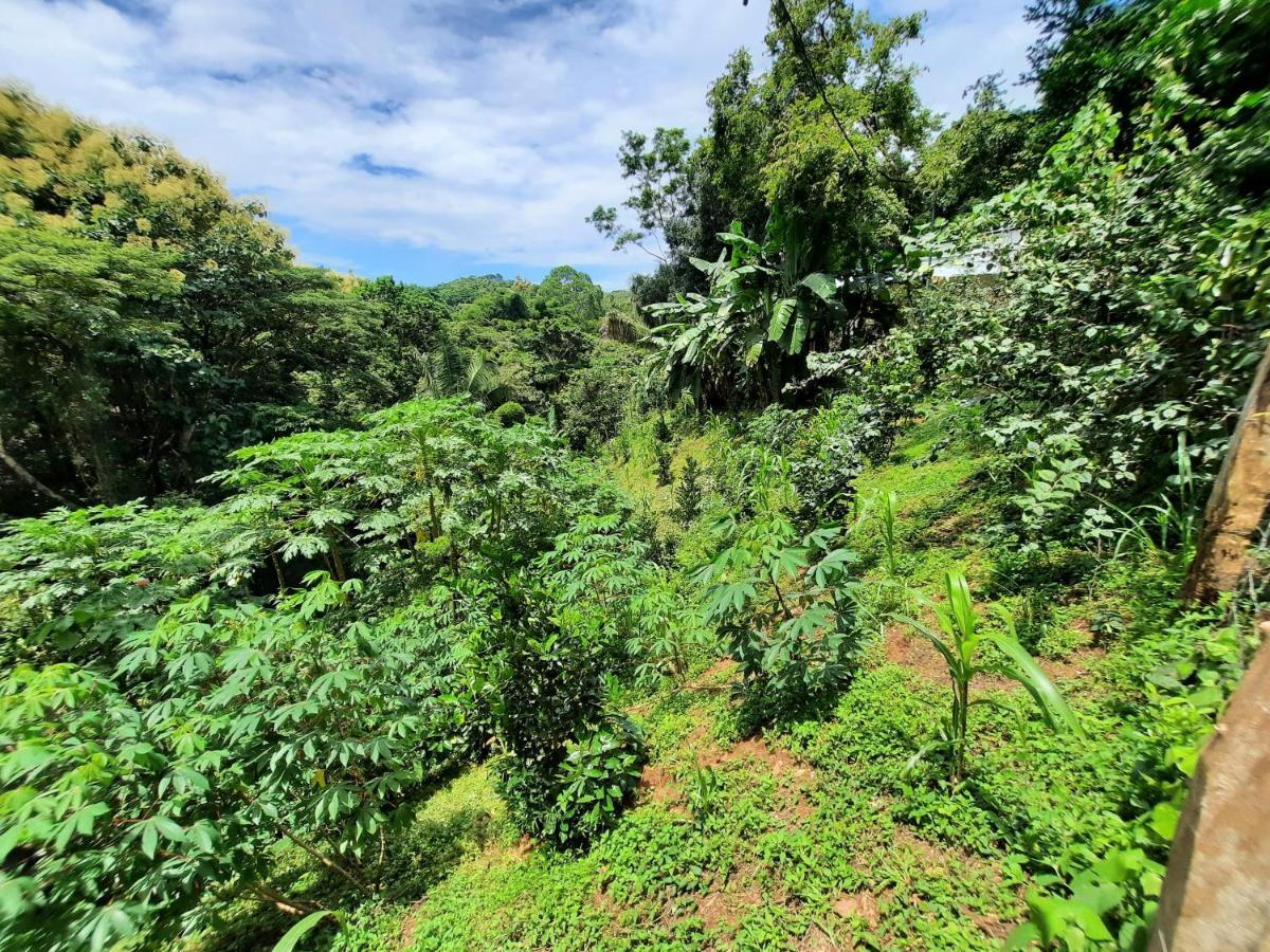 Eco-Turismo Guayacanes Sámara Eksteriør bilde